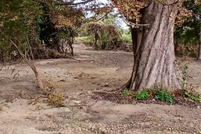 Terrains en zone Andrésy APRES évacuation des déchets - Agrandir l'image 4 sur 6, fenêtre modale